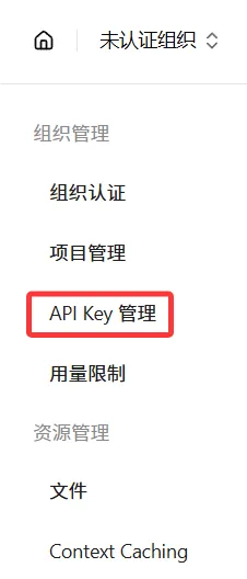 进入 API Key 页面